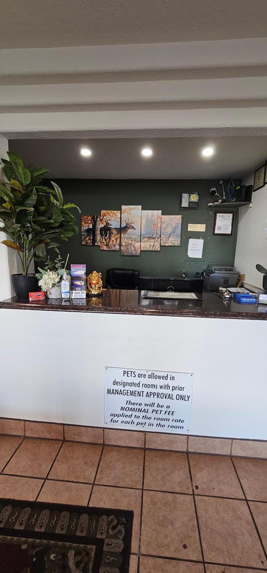 Travel Inn & Suite Springerville Ngoại thất bức ảnh